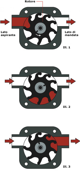 Impellerpump_ITAL